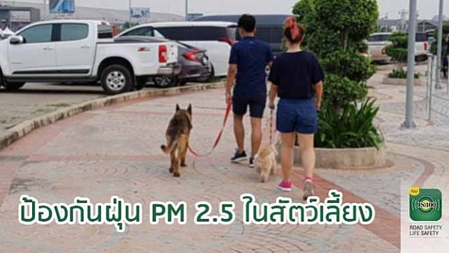 คนเลี้ยงสัตว์ต้องรู้!! อาการ – วิธีป้องกันภัยจากฝุ่น PM 2.5 เพื่อความปลอดภัยในชีวิต