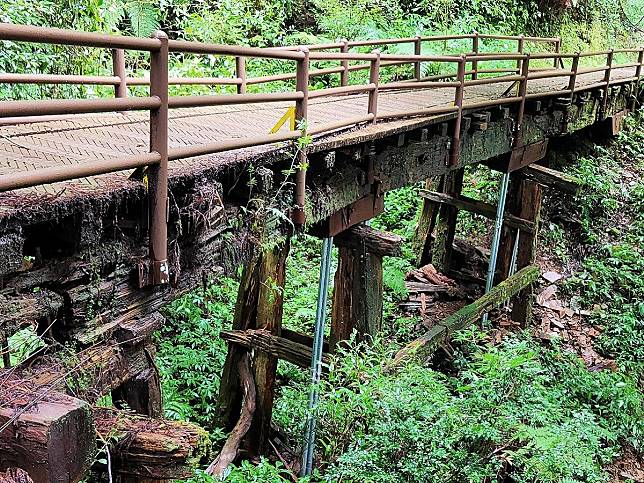 別撲空！　特富野古道8月中封閉整修