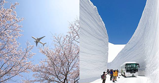 日本開放自由行！台灣人最想去哪？富士山、迪士尼上榜不意外，這地方季節限定的美景竟讓人想不停再訪