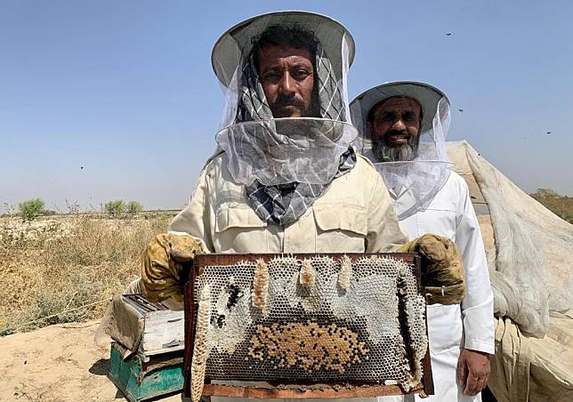 A beekeeper presents a honeycomb at a honeybee farm in Kandahar province, Afghanistan, Oct. 23, 2024. (Photo by Arghand/Xinhua)