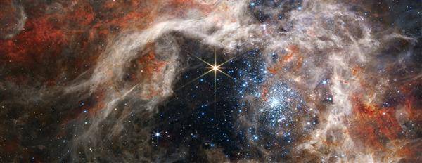 超大團的蜘蛛星雲（Tarantula Nebula）蘊含了數千顆前所未見的年輕恆星，被韋伯首次發現，天文學家得以深入了解恆星的形成和生命週期。取自NASA