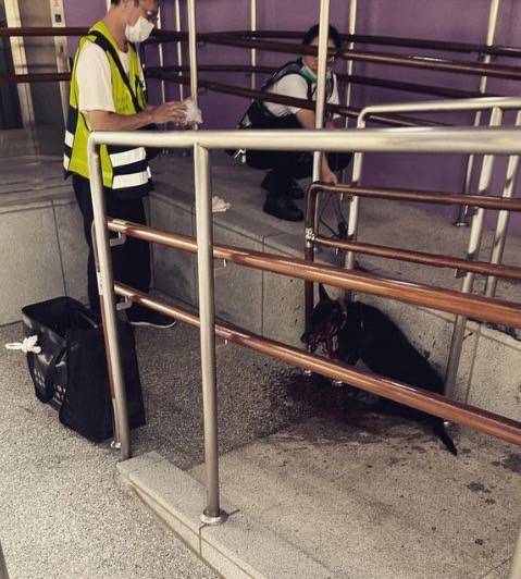 中捷綠線車站外一隻黑狗疑遭施虐、傷勢嚴重，送醫三天後仍傷重不治。。（記者徐義雄攝）