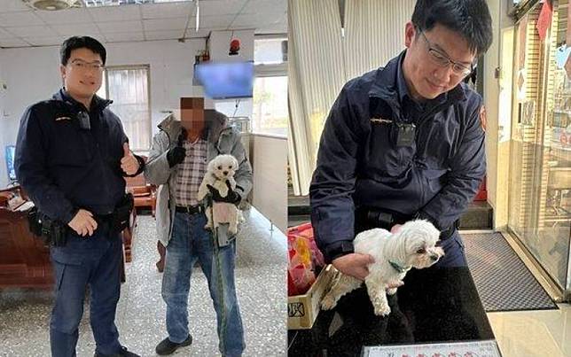 馬爾濟斯迷路還知道找警察　乖乖過馬路「請叔叔帶我回家」