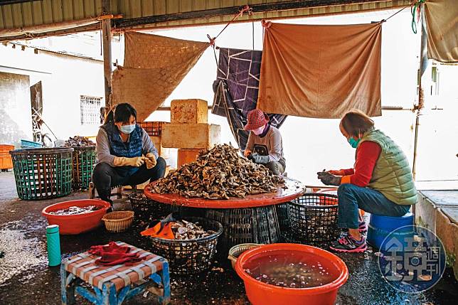蚵仔（牡蠣）養活了東石鄉這個小漁村，但蚵殼的處理也成為鄉民頭痛的問題。