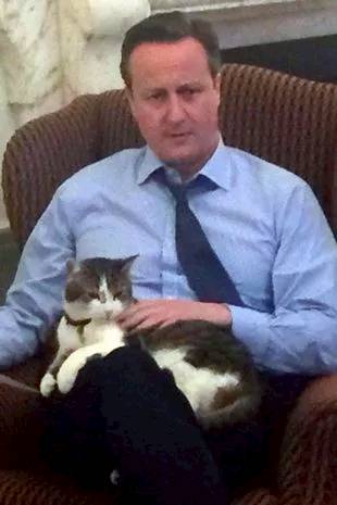 Larry 是卡梅伦由从爱护动物中心Battersea Cats and Dogs Home领养（图/X@David_Cameron）