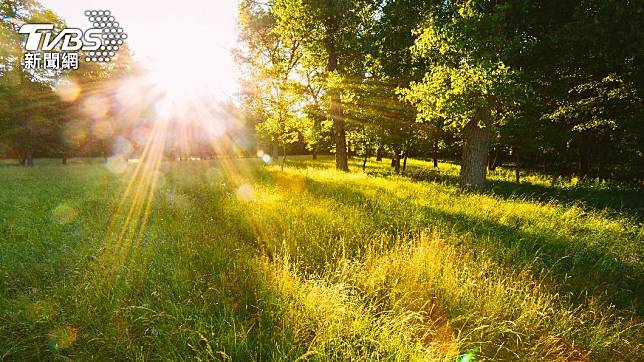 小滿為24節氣中夏季的第2個節氣。（示意圖／shutterstock達志影像）