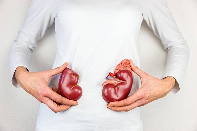 腎水腫的原因可簡單分為2大類。（示意圖／pixabay）