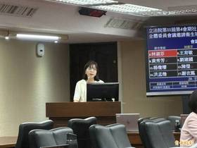 民進黨立委林淑芬。(記者林志怡攝)