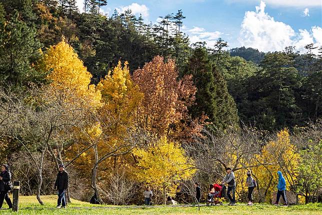▲武陵農場。（圖／武陵農場FB粉絲專頁）