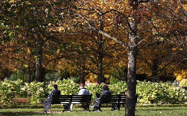 People sit on benches in Regent's Park in London, Britain, Oct. 24, 2024. (Xinhua/Li Ying)