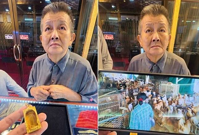 泰國一名被譽為「流浪狗天使」的動物收容所創辦人提姆（Tim Kawiporn Winichthaopatham），近日因變賣自己的金質佛牌框籌措照顧流浪動物的經費，再度引發外界關注。圖／翻攝自TikTok