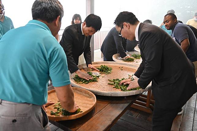 嘉義縣竹崎鄉與佐賀縣嬉野市雙邊「茶產業交流活動」。（記者湯朝村翻攝)