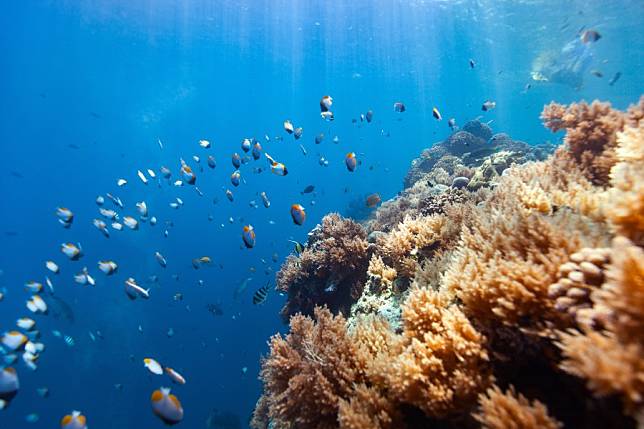 帛琉大斷層，Source:Shutterstock