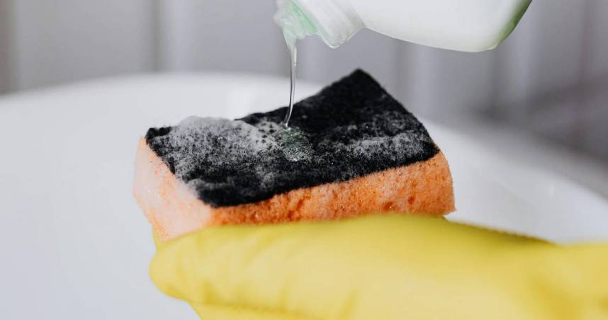 Kitchen Sponges: A Bacterial Hotspot as Vile as Feces—Experts Recommend Regular Replacement for Hygiene