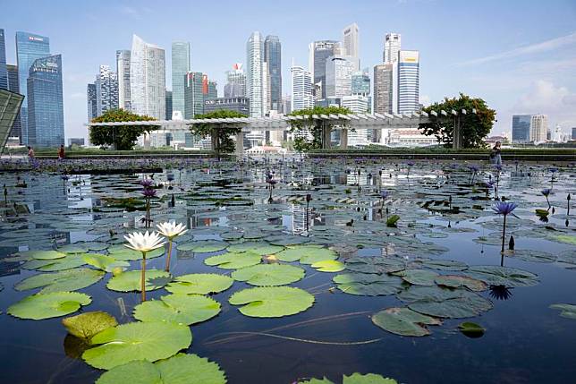 This photo taken on Aug. 13, 2024 shows the business district at Singapore's Marina Bay. (Photo by Then Chih Wey/Xinhua)