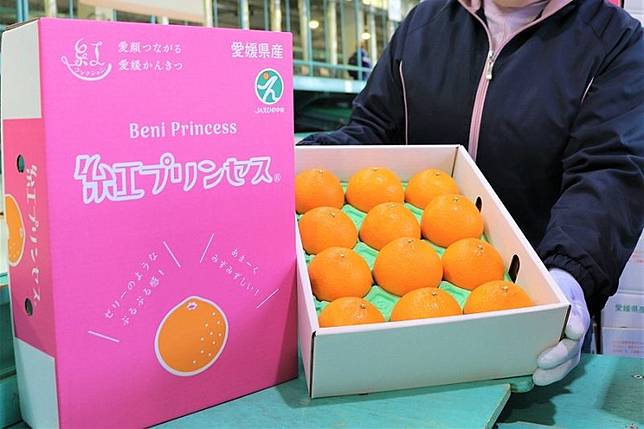 罵賤也沒用！不只麝香葡萄，日本「紅公主橘」再被中國偷了。圖／翻自ja-e-chuo.or.jp