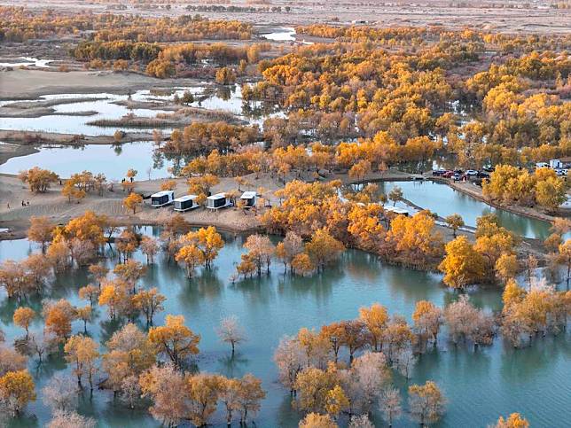 An aerial drone photo taken on Oct. 25, 2024 shows the autumn scenery of the desert poplar (populus euphratica) forest at the Huludao scenic spot in Yuli County, northwest China's Xinjiang Uygur Autonomous Region. (Xinhua/Hu Huhu)