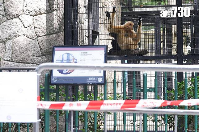 香港動植物公園近期接連有猴子死亡。(資料圖片／吳康琦攝)