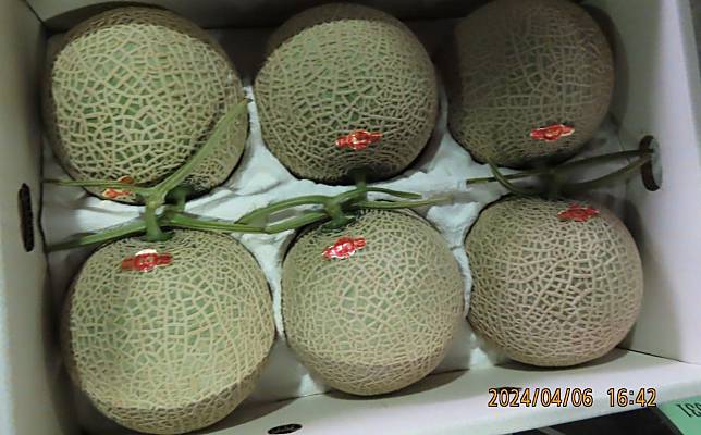 日本進口「鮮哈密瓜」，被檢出殘留農藥Pyrifluquinazon 0.02ppm，總計45公斤，依規定退運或銷毀。（食藥署提供）