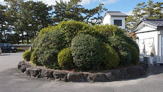 日本奈良縣斑鳩町的世界遺產法隆寺，停車場旁的圓形庭園植栽，經學者確認為建於6世紀後半的古墳。翻攝Twitter＠yuki19961999