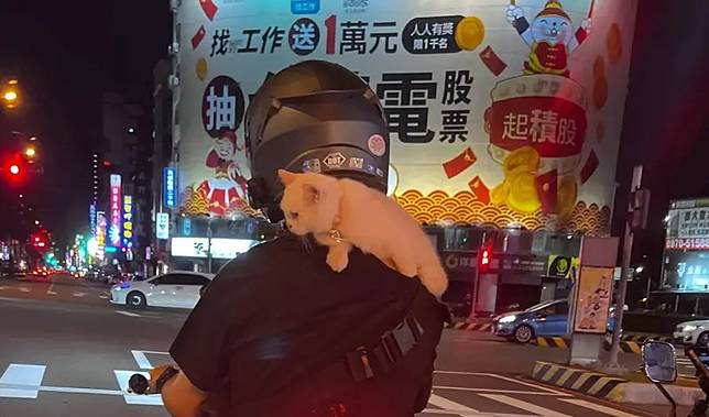 超想扁他！機車男肩頭驚險「遛貓」全網圍剿　竟扯：牠自己爬的