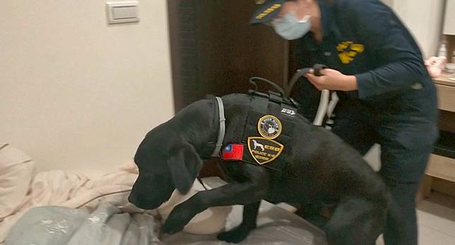 台灣首隻電偵犬「Wafer」。高雄市警察局刑大提供