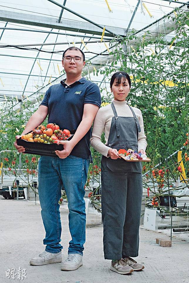 多年成果——Derek（左）和Silvia（右）透過水耕，在香港種植新鮮的即食蔬果。他們手上的番茄和食用鮮花，就是這些年努力的「成果」。（賴俊傑攝）