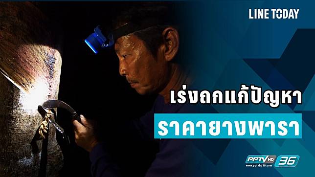 เร่งถกแก้ปัญหาราคายางพารา