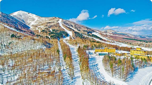 滑雪路線——佐幌岳的滑雪路線以初中級為主，其中一條可由山頂直滑至山腳，對初學者來說自然非常吸引。（酒店提供）