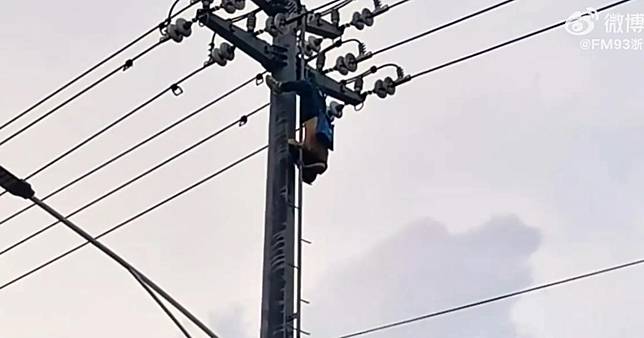 男子摘鳥窩被電暈倒掛半空中。（圖／翻攝微博）