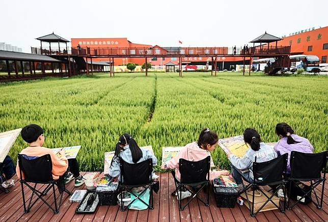 Children draw pictures beside the fields at Yuxin Town of Nanhu District in Jiaxing City, east China's Zhejiang Province, April 27, 2024. (Xinhua/Lan Hongguang)