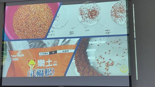 台東小米粽中毒事件釀4死，台東地檢署認定非故意或過失行為而是意外，因此不立案偵辦。