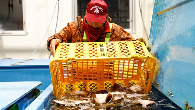 日本預計今年春夏排放福島第一核電廠廢水，當地漁民憂心漁業再受重創。路透社