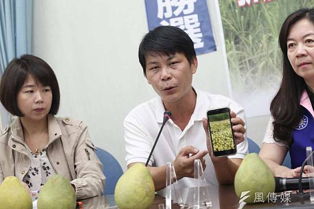 前國民黨台中市立委候選人、農民林佳新在臉書質疑，連台糖鳳梨罐頭的產地都是泰國了，政府要挺農民「先把產線搬回台灣吧」。（資料照，簡必丞攝）