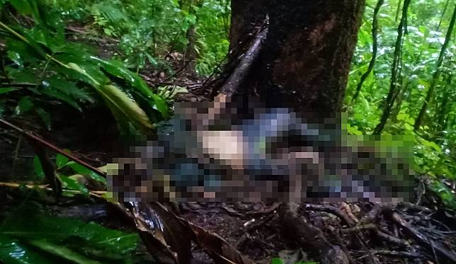 พบศพคนสูญหายแล้วในป่าลึก กำลังตรวจสอบหาสาเหตุการตาย