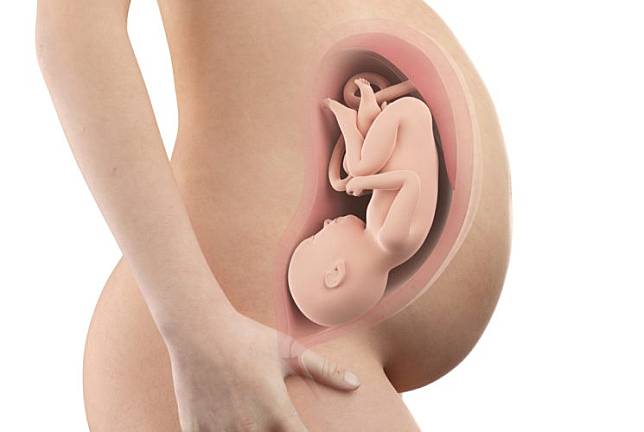 懷孕第39週：胎毛消失 留意羊水產兆
