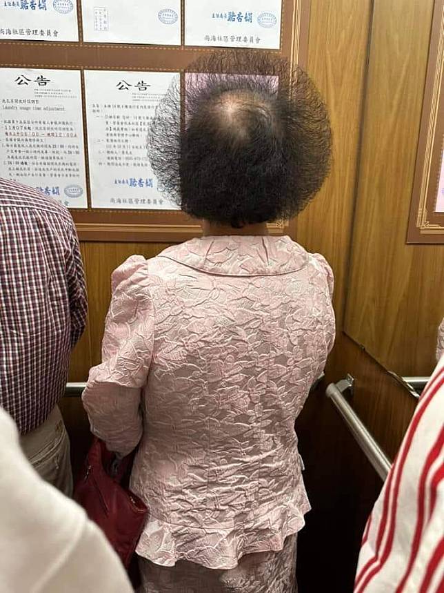 有網友日前看到1位阿姨頂著像是「蒲公英」般的特殊髮型。(圖擷取自爆廢公社公開版)