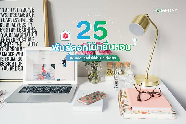 25 พันธุ์ดอกไม้กลิ่นหอม เพิ่มความสดชื่นให้บ้านและผู้อาศัย cover