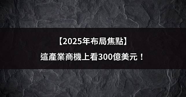 【2025年布局焦點】這產業商機上看300億美元！(內附概念股清單)