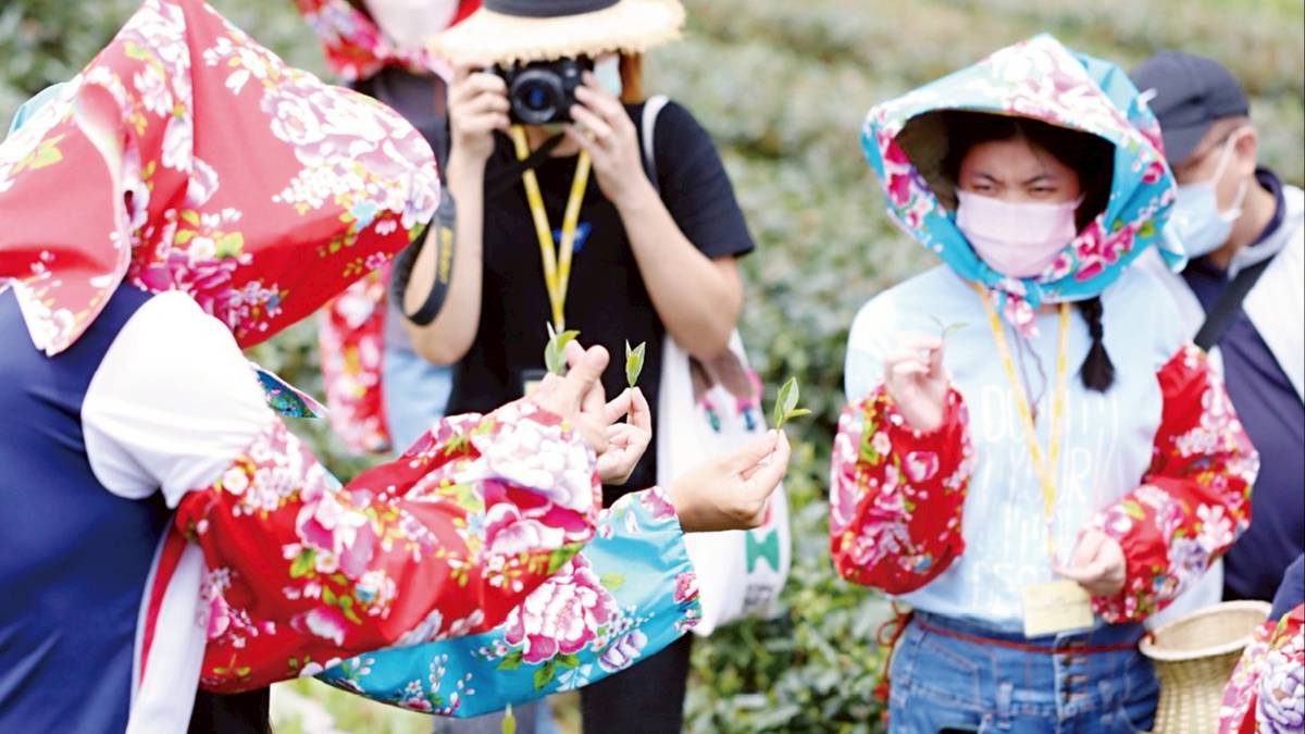 花蓮美食好滋味] 頂級茶的故鄉，金牌蜜香紅茶| 花蓮縣政府| LINE TODAY