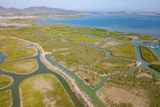 This aerial photo taken on Jan. 31, 2025 shows a view of the Hainan Lingshui Mangrove National Wetland Park in south China's Hainan Province. (Xinhua/Pu Xiaoxu)