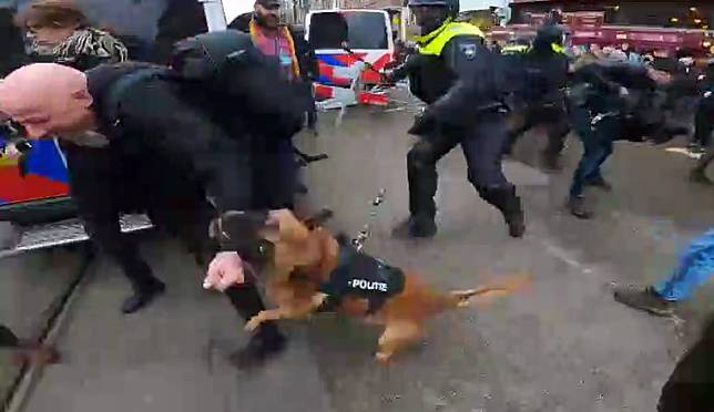 荷蘭首都阿姆斯特丹出現數千名反對政府防疫政策的示威者。警方到場後與示威者發衝突，放出警犬撕咬示威者。   圖 : 翻攝自環球網