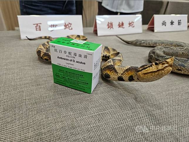 若不慎被毒蛇咬傷，及時使用抗蛇毒血清可有效中止或逆轉蛇咬傷的毒性作用，治癒率高，甚至降低死亡率。 中央社記者陳婕翎攝 114年4月3日