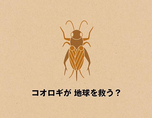 
<p>圖片來源：<a href=