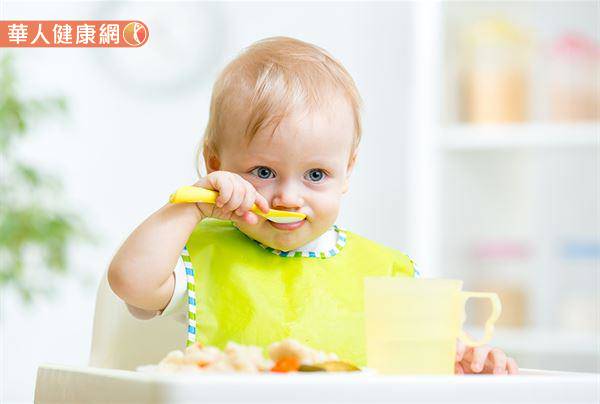 如何測試寶寶是否對食材過敏？副食品該調味嗎？詳解副食品Q&A全都錄