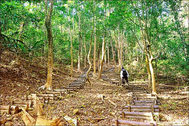 自四德登山口進入，前段為連續陡上的木棧階梯。