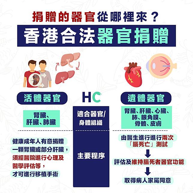 【器官捐贈】香港合法器官捐贈 分為活體器官及遺體器官捐贈