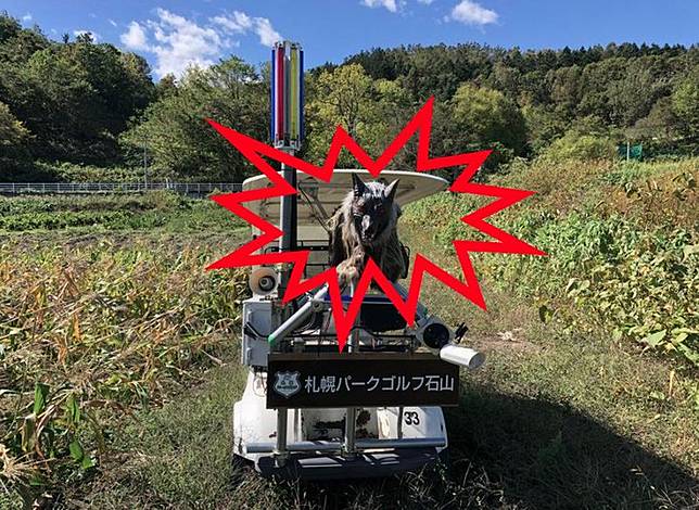 「怪獸狼」仿生驅趕機器人，因其強大的嚇阻效果，今年訂單量竟暴增至往年的3倍以上。（翻攝自太田精器）