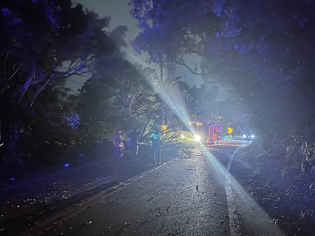 虎頭山環保公園附近山區道路的路樹被強風吹倒。圖：讀者提供