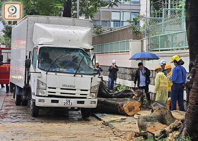 貨車左邊車頭損毀，擋風玻璃碎裂。(馬景峯攝)